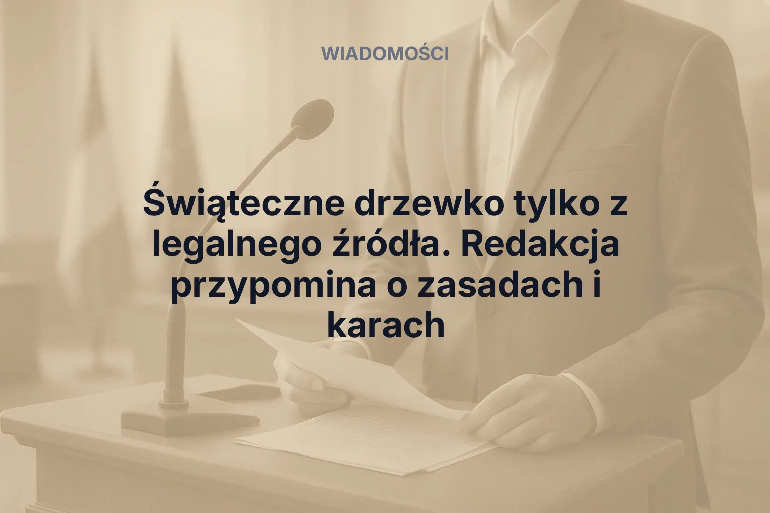 Artykuł: Świąteczne drzewko tylko z legalnego źródła. Redakcja przypomina o zasadach i karach