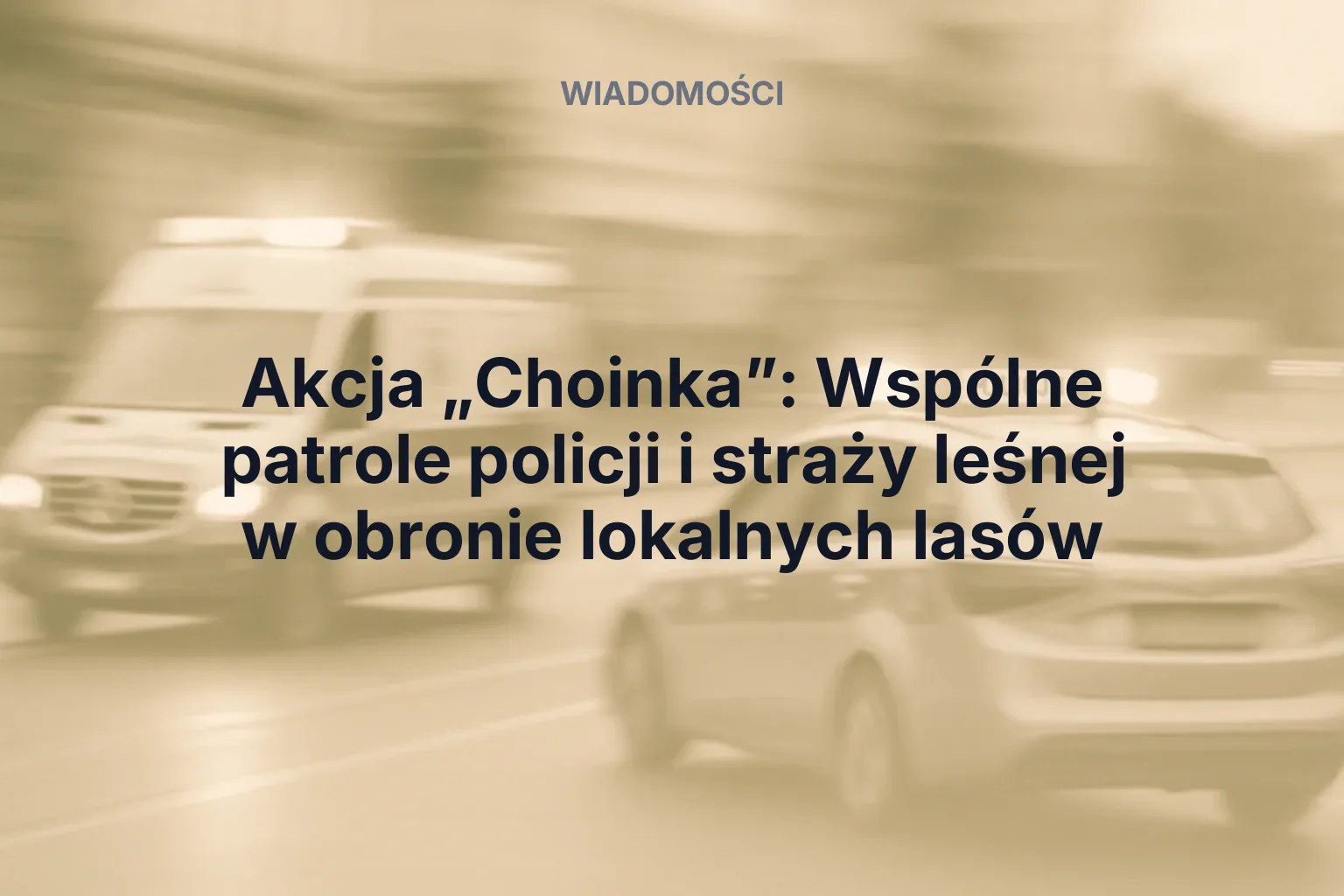 Artykuł: Akcja „Choinka”: Wspólne patrole policji i straży leśnej w obronie lokalnych lasów
